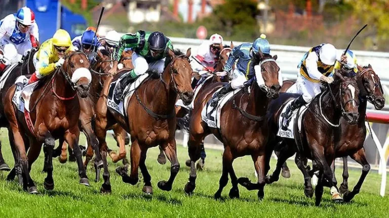 Cá cược đua ngựa